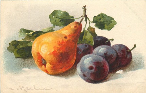 Катарина Кляйн груши