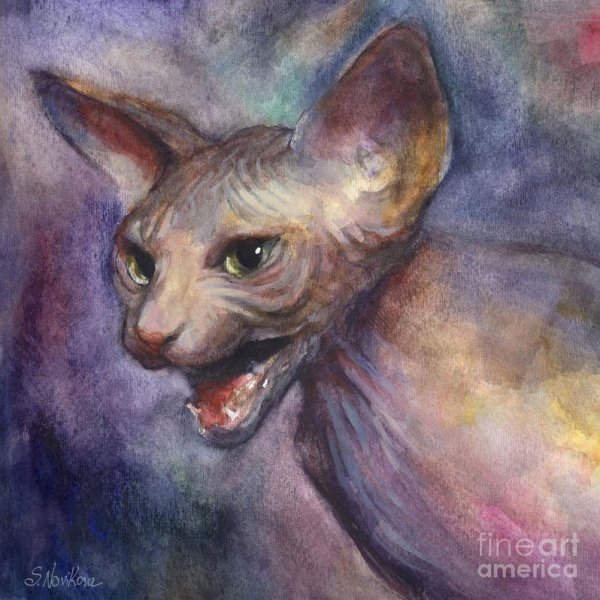 Кот сфинкс акварелью