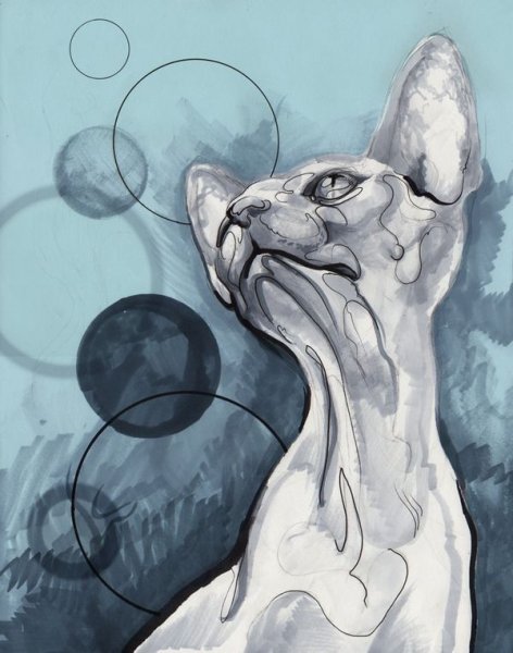 Корниш рекс арт