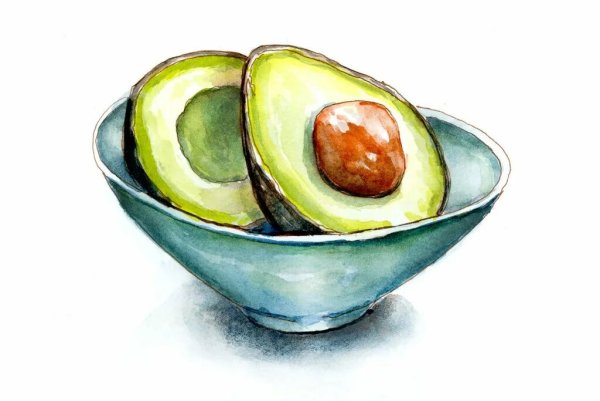 Авокадо скетч акварелью
