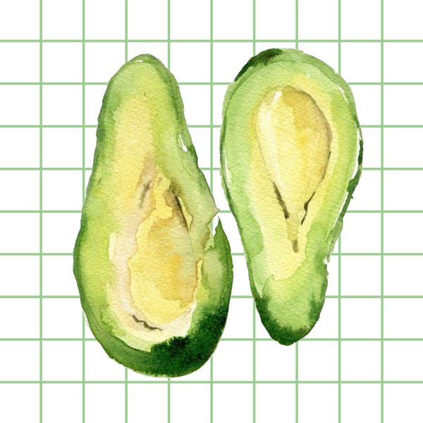 Авокадо рисунок акварелью