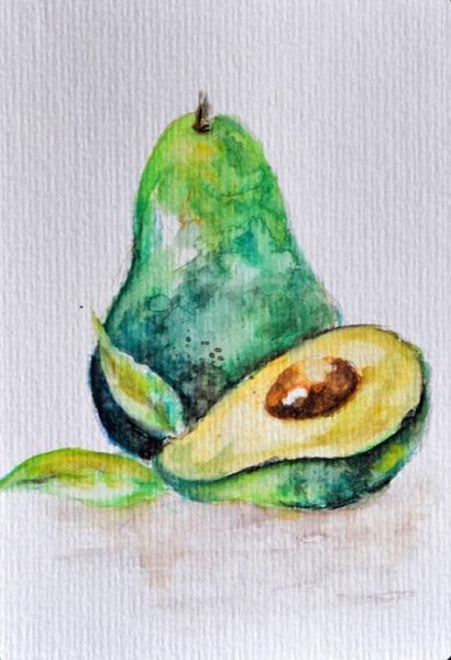 Этюды фруктов акварелью авокадо