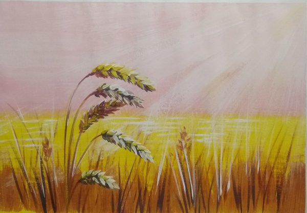 Колосья гуашью