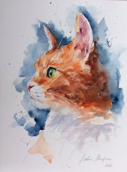 Кошечка акварель