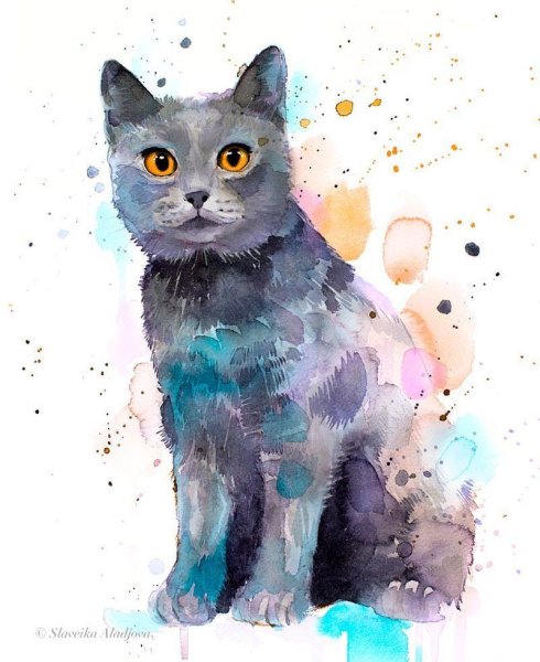Акварельные котики