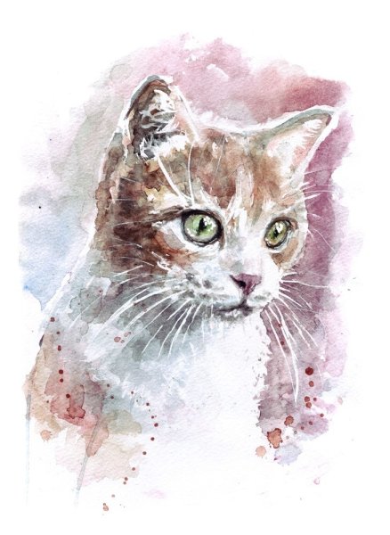 Морда кошки акварелью