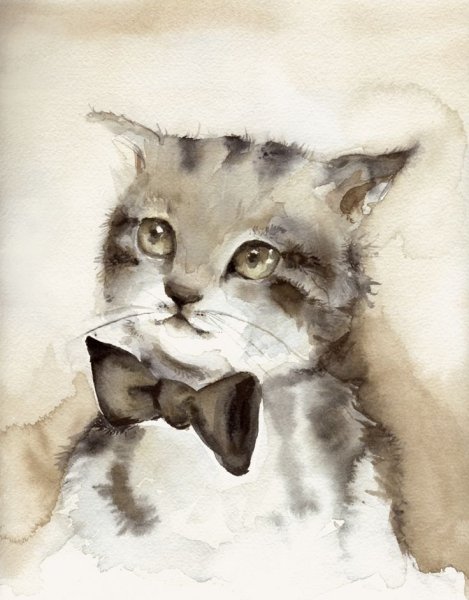 Милые котики акварель