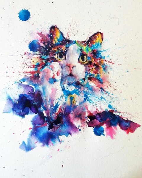 Акварельные коты