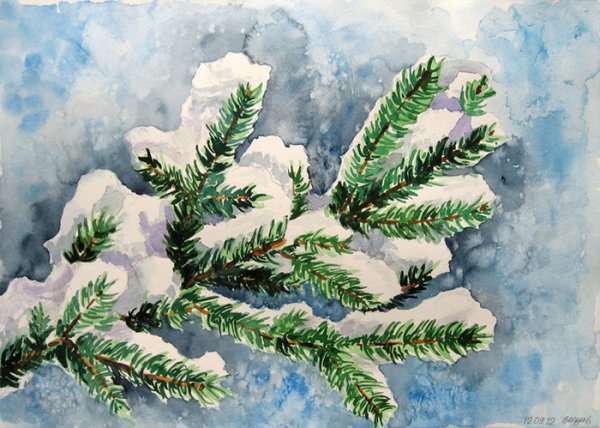 Зимние елки акварель