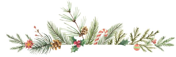 Еловая веточка акварель