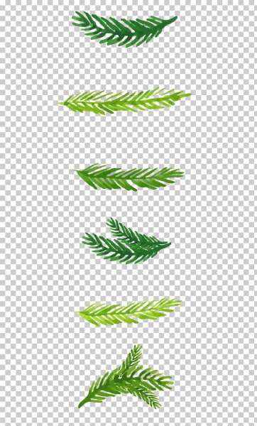 Нарисовать веточку ели