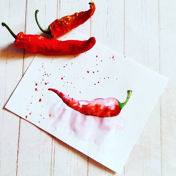 Перец Чили акварель скетч