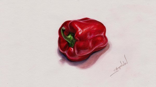 Красный перец акварелью
