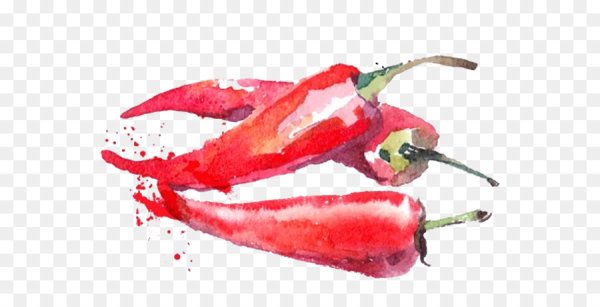 Красный перец акварелью