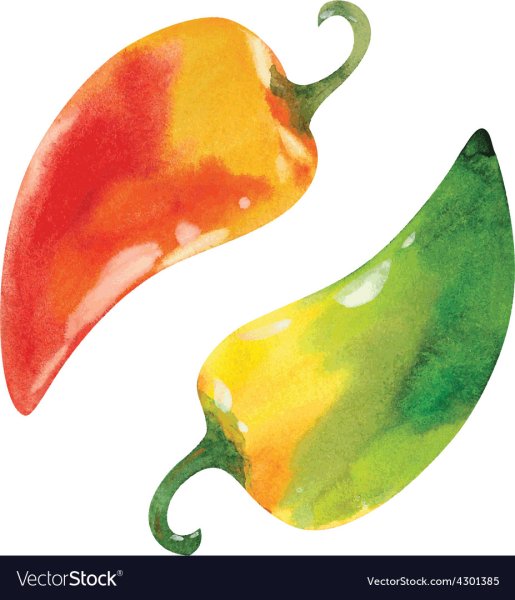 Оранжевый перец акварелью