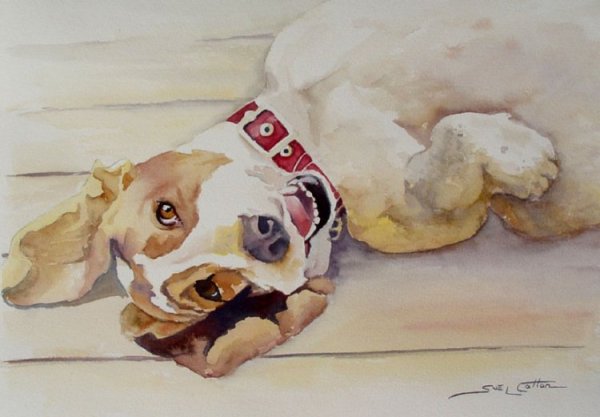 Рисунки собак акварелью