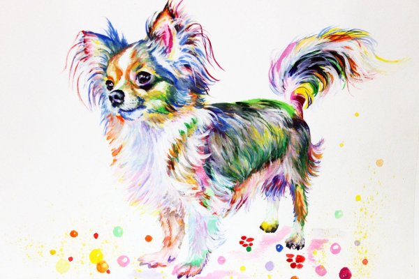 Акварельные звери