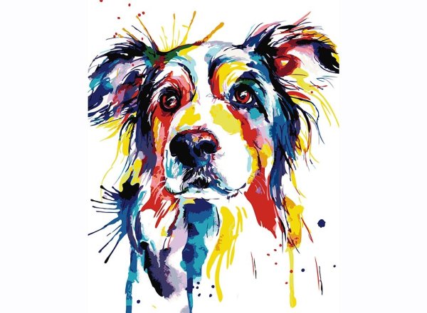 Кокер спаниель акварелью