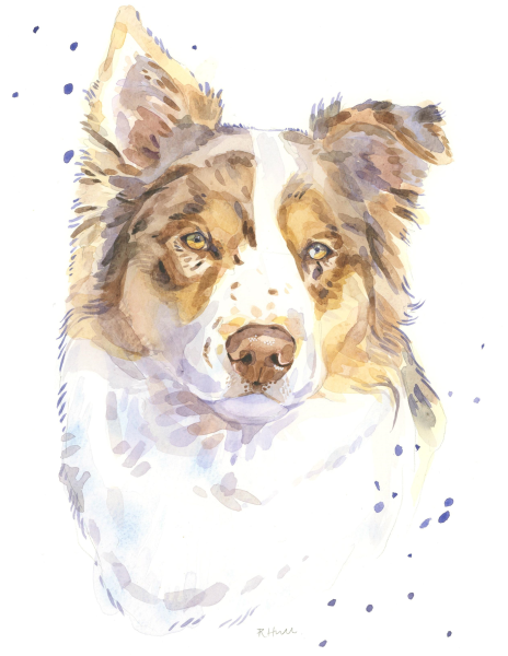 Скетчинг Мопс