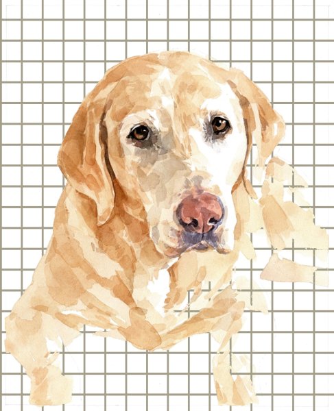 Бигль картина