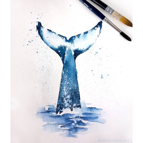Китовый хвост акварель
