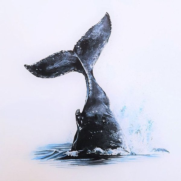 Хвост кита акрилом