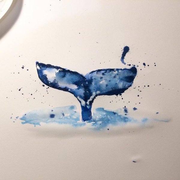 Хвост кита акрилом