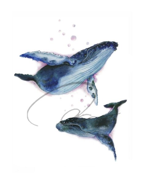 Синий кит акварель