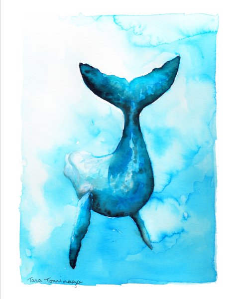 Кит рисунок акварелью