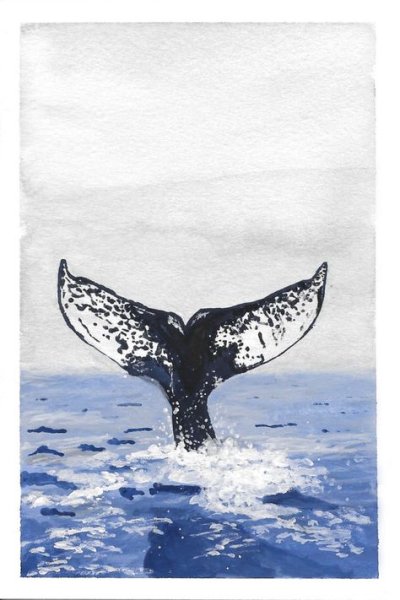 Хвост кита акварель