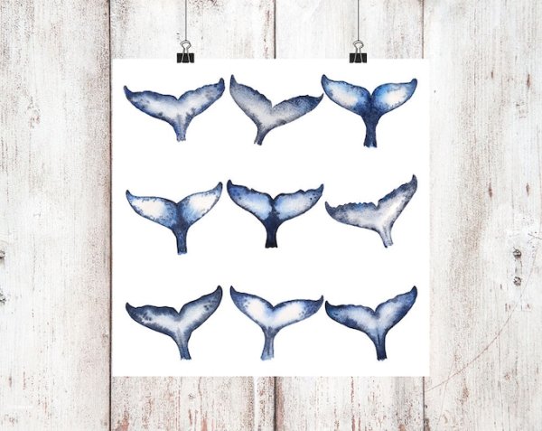 Хвост кита эскиз