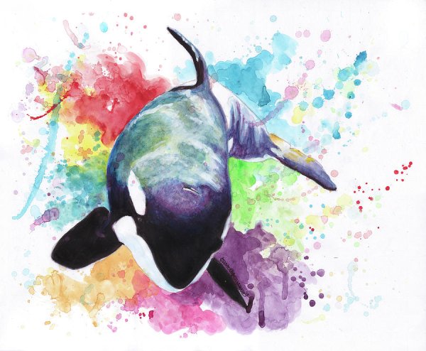 Синий кит референс