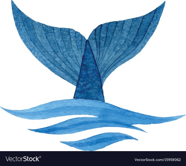 Хвост кита акварель