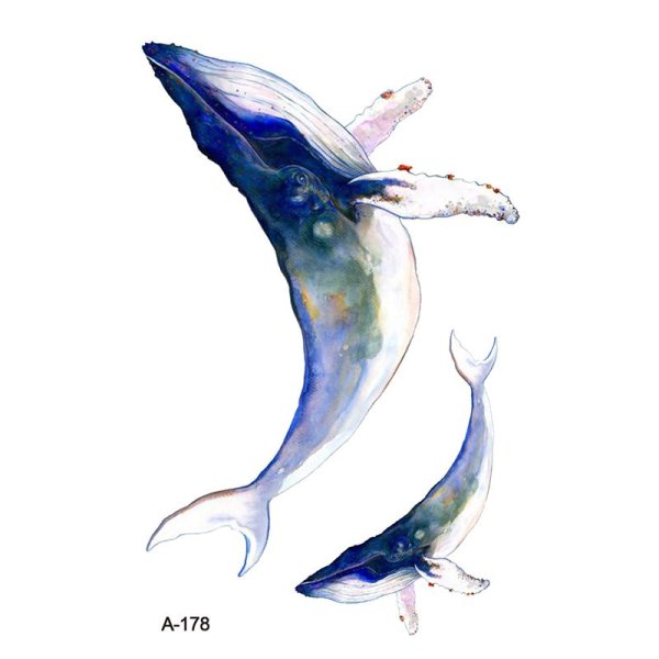 Кит Горбач рисунок