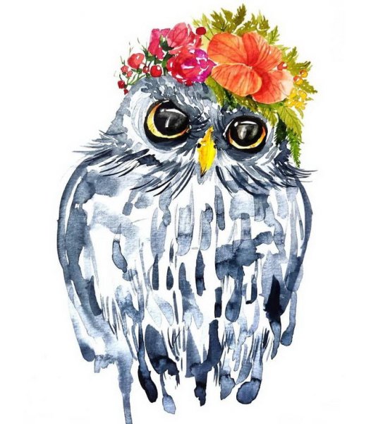 Филин акварелью