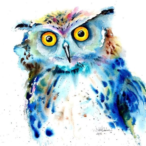 Совушки акварелью