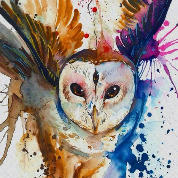Сова сипуха акварель