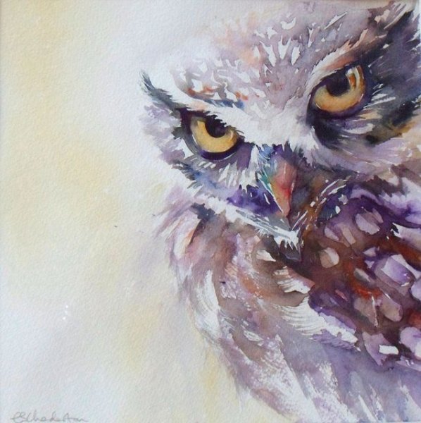 Ушастая Сова акварель