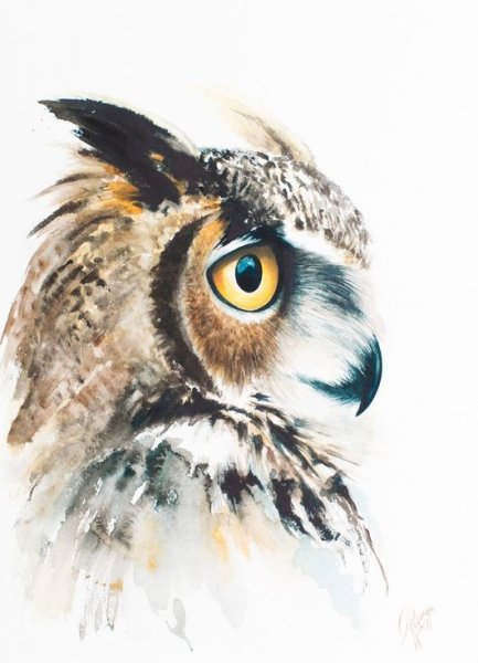 Сова для срисовки акварелью