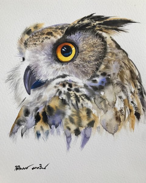 Kitipong_Maksin_ птицы