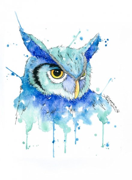 Филин акварелью