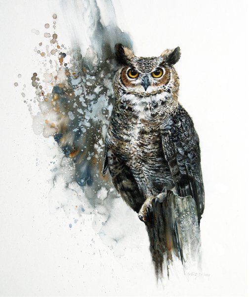 Художник Morten e. Solberg