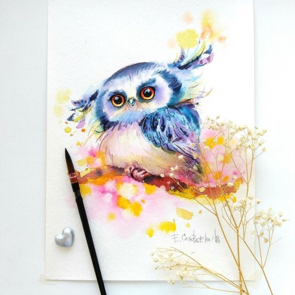 Совенок акварель