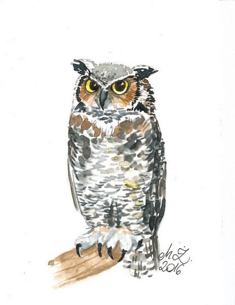 Сова акварелью