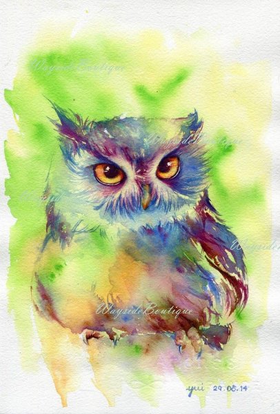 Сова акварелью