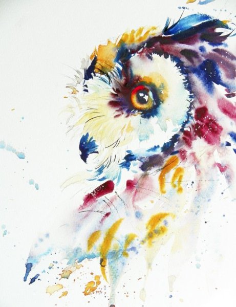 Постер Акварельные Сова