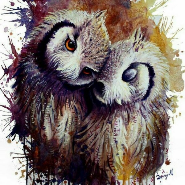 Совушки акварелью