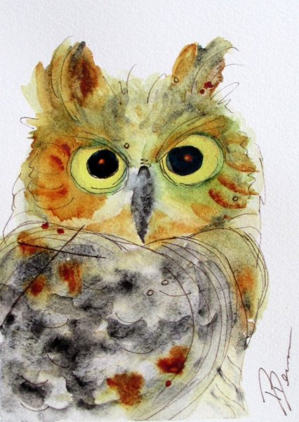 Акварельная Сова