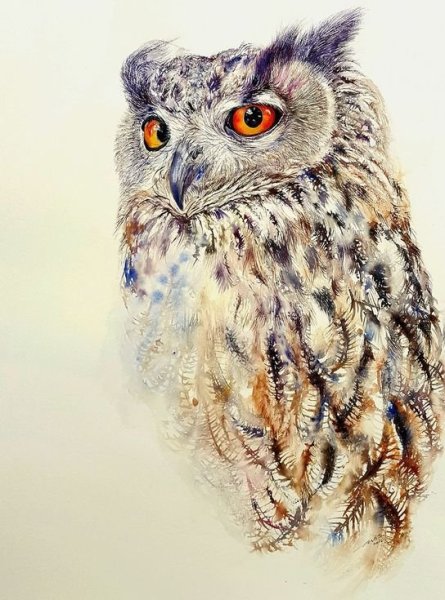 Акварельная живопись Сова