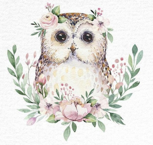 Сова акварелью